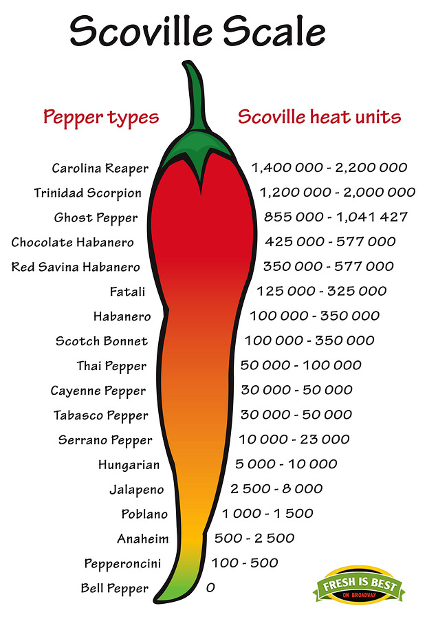 Scoville pepper type heat scale vector graphic